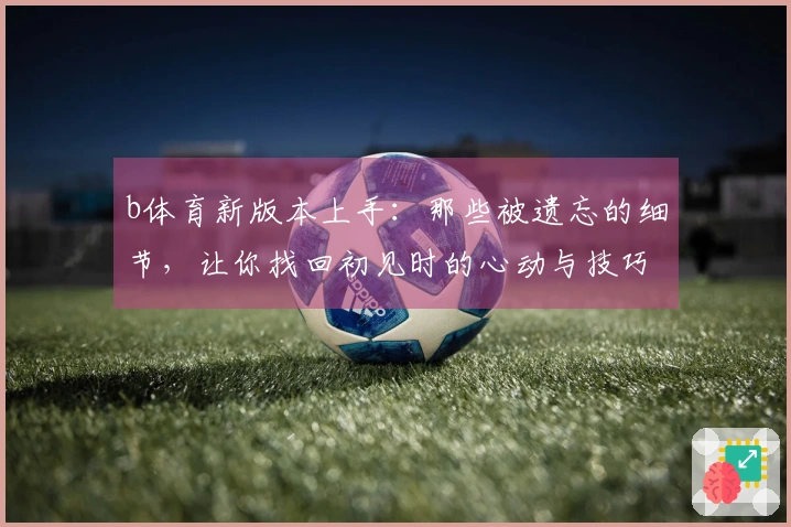 b体育新版本上手：那些被遗忘的细节，让你找回初见时的心动与技巧