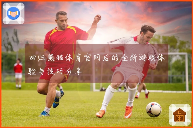 回归熊猫体育官网后的全新游戏体验与技巧分享