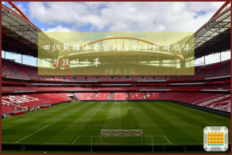 回归熊猫体育官网后的全新游戏体验与技巧分享