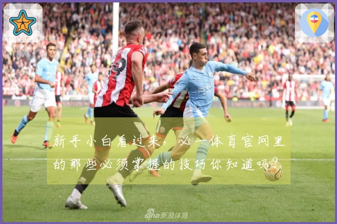 新手小白看过来，必一体育官网里的那些必须掌握的技巧你知道吗？