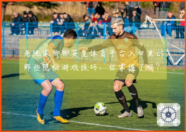 老玩家聊聊英皇体育平台入口里的那些隐秘游戏技巧，你掌握了吗？
