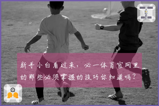 新手小白看过来，必一体育官网里的那些必须掌握的技巧你知道吗？